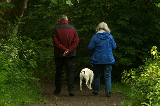 Retirement and Estate Planning