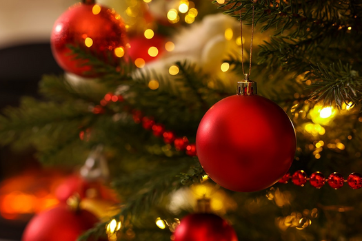 Merry Christmas and Season's Greetings From Our Team At Covenant!