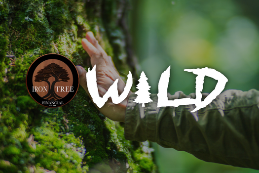Giving back to Nature.
