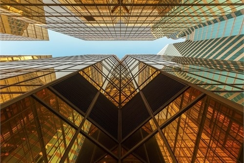 Perspective