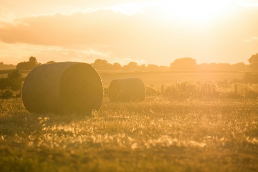 Farmer Financial Planning Is Hard – But Worth The Effort