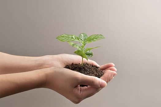 Setting a course for Prosperity