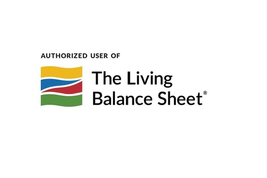 Don't Know How The Living Balance Sheet Works?