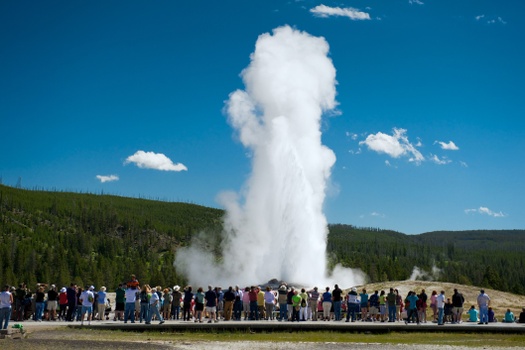 Navigating Market Volatility: Lessons From Yellowstone