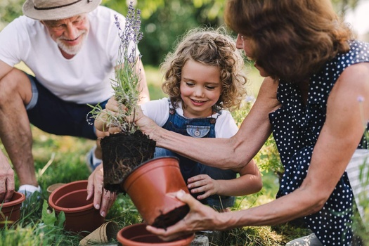Delivering Strategies and Guidance for Life