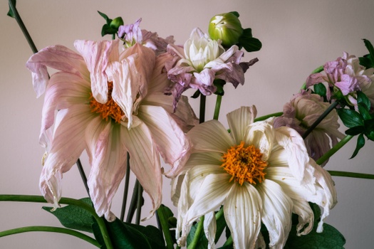 Should I Inherit My Deceased Spouse’s Traditional IRA?