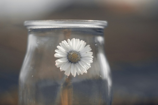 PRESERVE