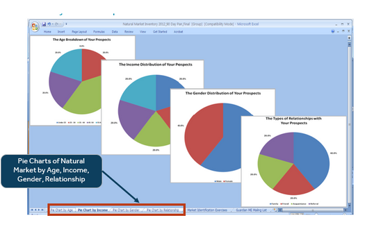 Pie Charts of Natural Market by Age, Income, Gender, Relationship
