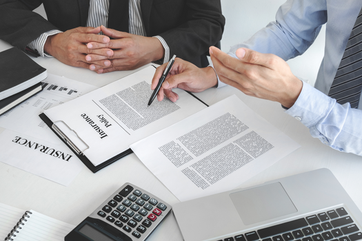 Insurance Review and Risk Management Services 