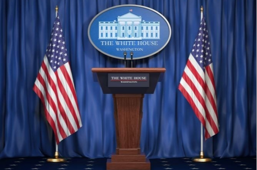 WHAT MATTERS NOW: Democracy 2024 – Candidate Policies, Election Odds, and Portfolio Implications