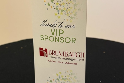 VIP Sponsor of Vista Next Gen Superstars*