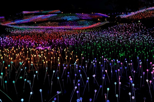 Festivals and Special Events 
