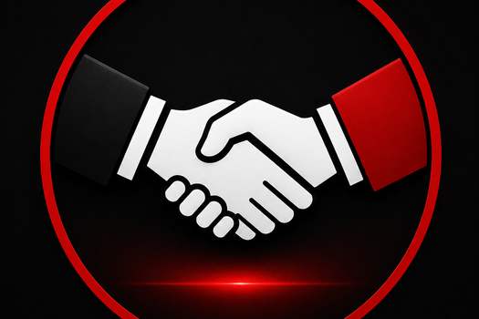 Working Alongside Your CPA