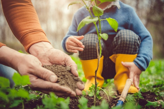 Thoughtful Stewardship