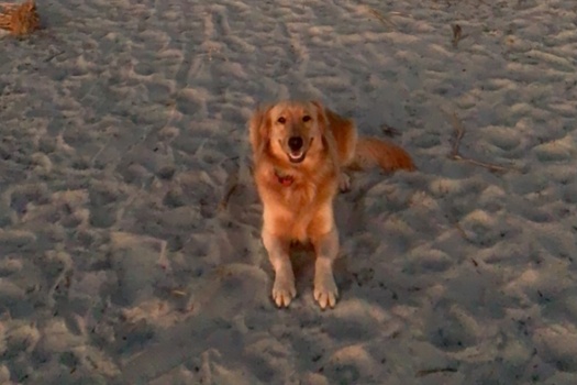 Financial Plan Insight