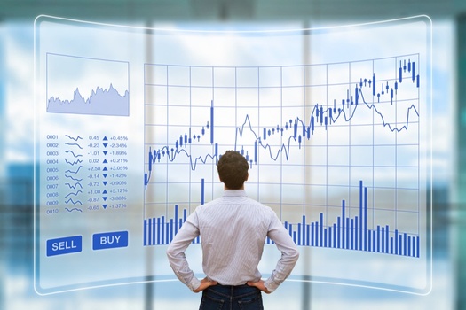 We will design a portfolio that meets your RiskAyalize number and overall goals