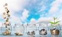 Growing your money to the clouds