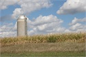 Blind Spot #9: Silo Approaches