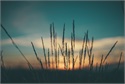 Video Blog Smaller