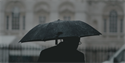 Does Your Umbrella Have You Covered?