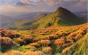 Landscape2