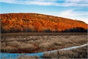 20181104_DWM_0010-Avon Mtn Foliage
