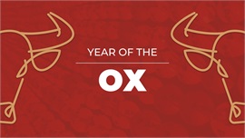 Happy Year of the Ox