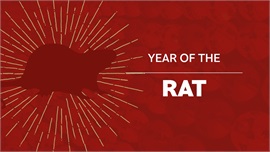 Happy Year of the Rat