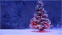 My Blog - 12/15