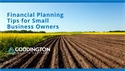 Financial Planning Tips for Small Business Owners