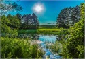 Landscape1