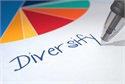 Your Diversified Portfolio vs. the S&P 500