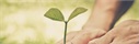 The 12 Steps to Living Confidently: How to Retire With Confidence