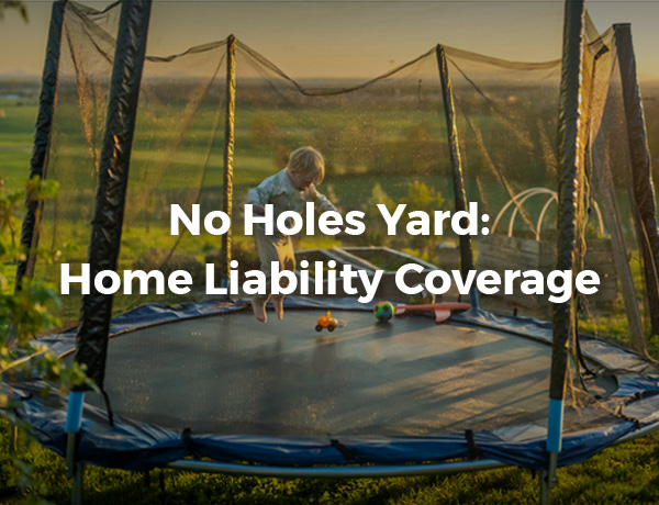 No Holes Yard: Home Liability Coverage You Need