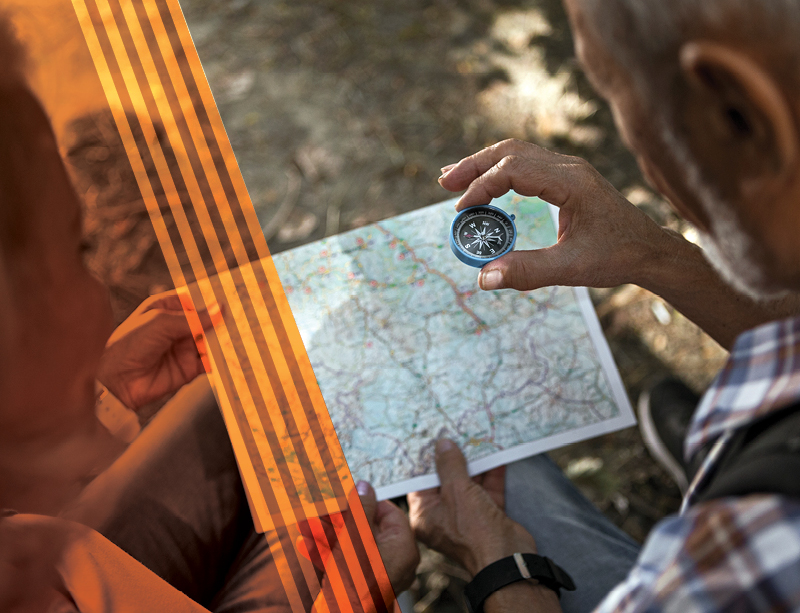 Navigating the Social Security Landscape