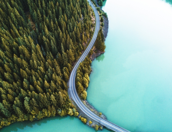 Ten Common Estate Settlement Mistakes