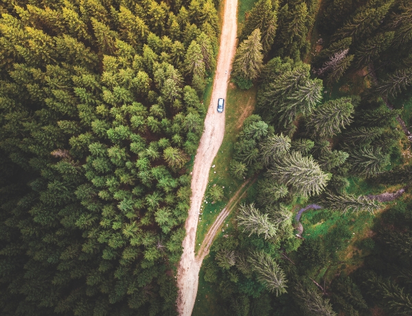 Address Potential Incapacity with Estate Planning