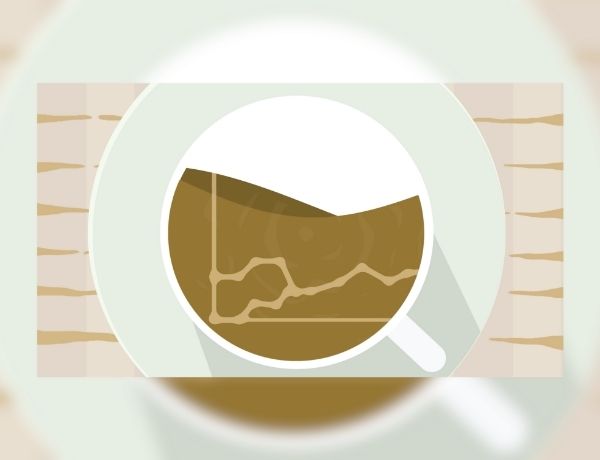 Vero Wealth Management